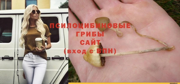 эйфоретик Алзамай
