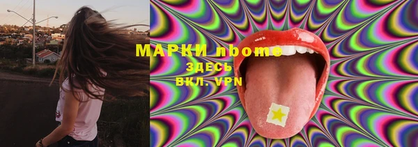 крисы Алексин