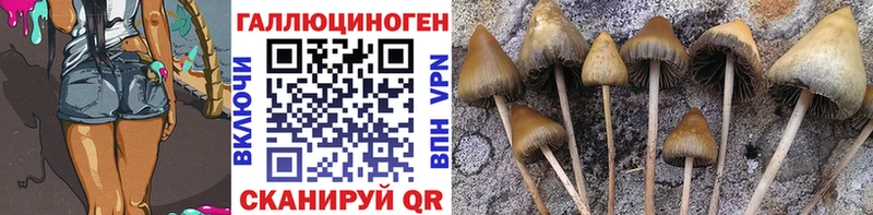 Псилоцибиновые грибы Psilocybe мориарти состав Уварово